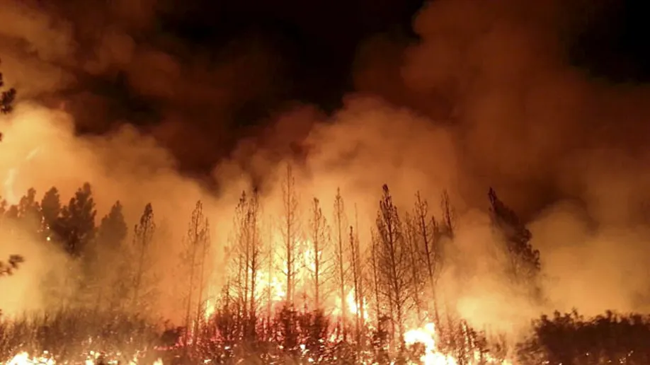 Wildfires
