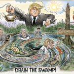 drain the swamp
